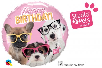 18" Bday Puppies With Eyeglasses
