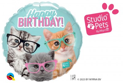 18" Bday Kittens With Eyeglasses