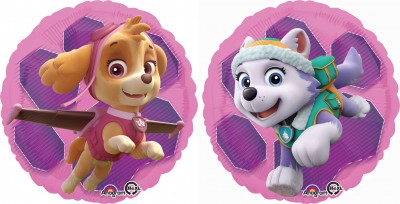 Standard Paw Patrol Skye & Everest