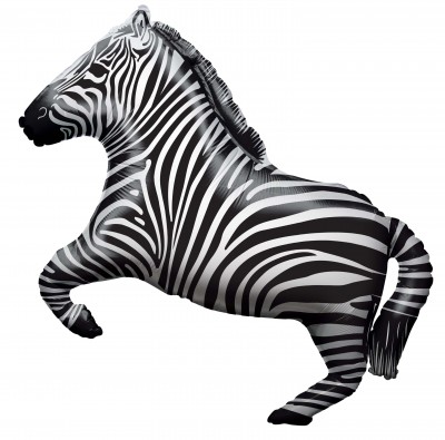  28" SP: BV Zebra Shape