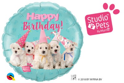 18" Birthday Puppies (pkgd)