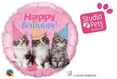 18" Birthday Kittens (pkgd)