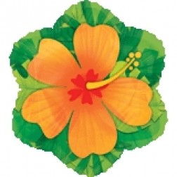  JuniorShape: Orange Hibiscus