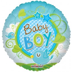 09" Baby Boy Bird Clear View