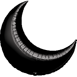 Flat: MiniShape Black Crescent 17"