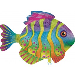 SuperShape Colorful Fish