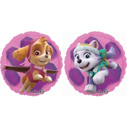 Standard Paw Patrol Skye & Everest