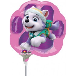 MiniShape Paw Patrol - Skye & Everest