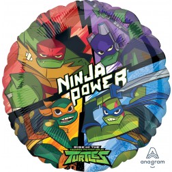Standard Rise of the TMNT