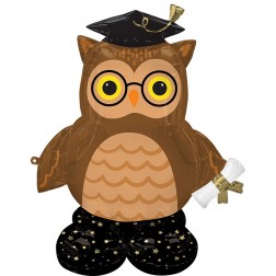 CI: AirLoonz Grad Wise Owl