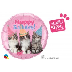 18" Birthday Kittens (pkgd)