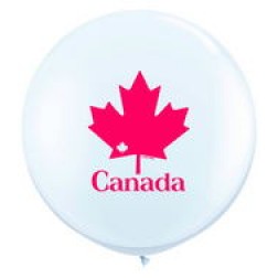 3ft Patriotic Maple Leaf (02ct)