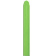 260 Fashion Lime Green (50pcs) Sempertex Balloons