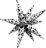 Magic Starburst 26