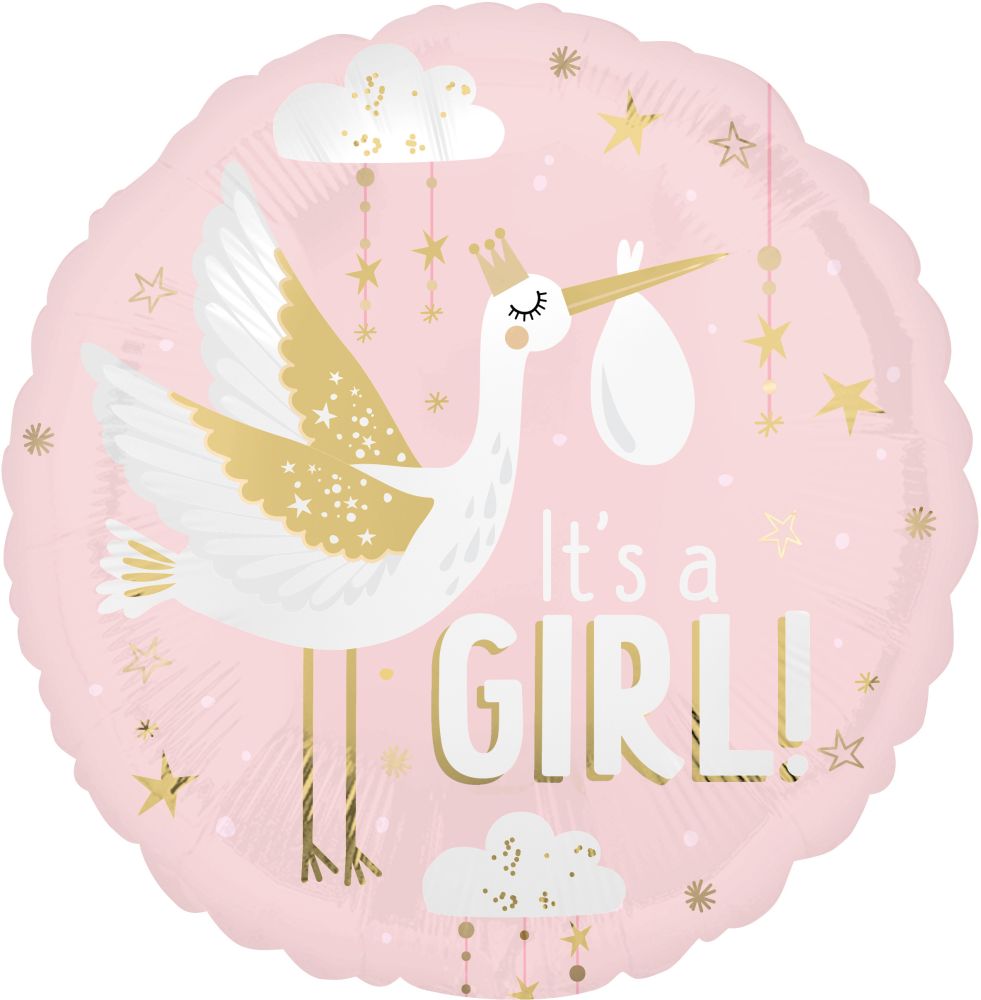 Standard Satin Special Delivery Baby Girl Balloon