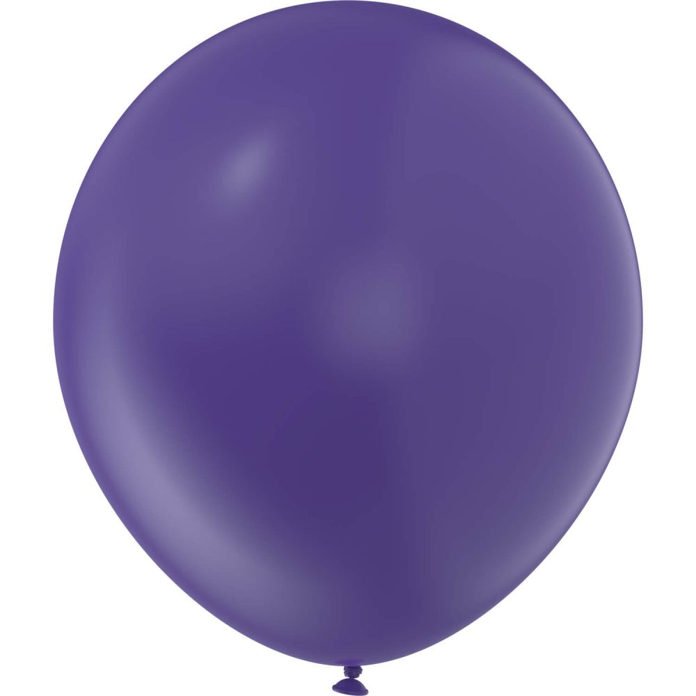 05" Style Plum (100pcs) Luma Balloons