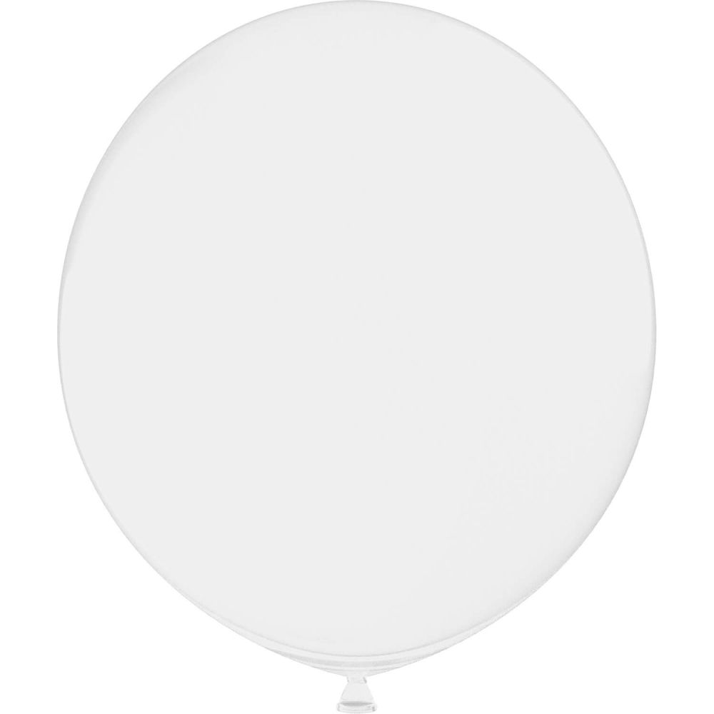 24" Clear Clear (5pcs) Luma Balloons