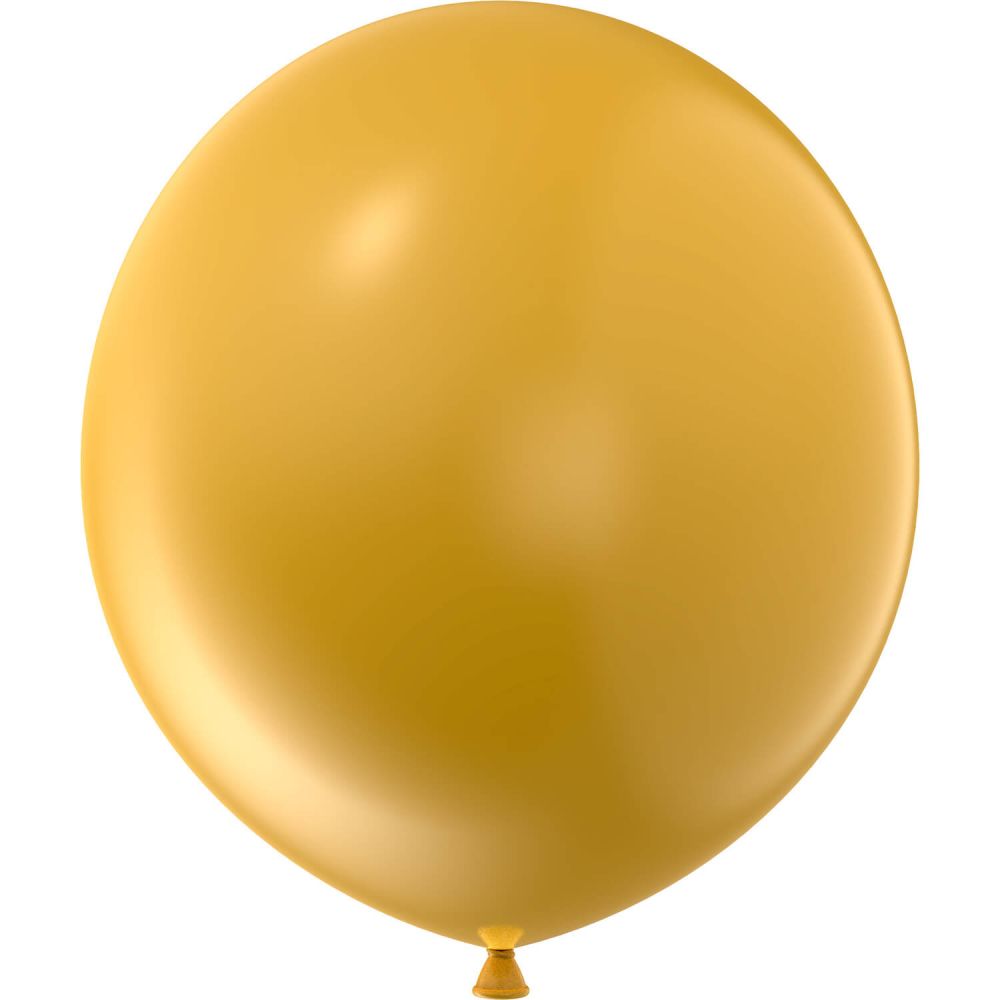 24" Style Mango (5pcs) Luma Balloons