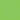 Lime Green Balloons