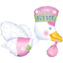 SuperShape Bundle of Joy Stork - It's A Girl