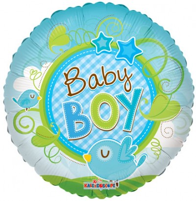 09" Baby Boy Bird Clear View