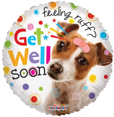 18" SP: SV Get Well Dog