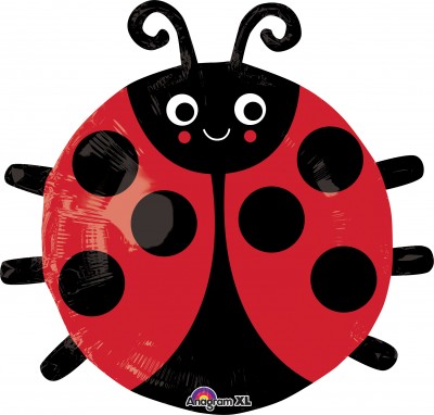 Junior Shape Happy Lady Bug