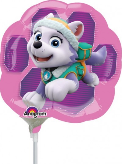 MiniShape Paw Patrol - Skye & Everest