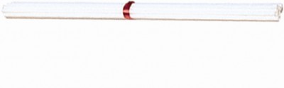 Standard Balloon Sticks: 16" White (100ct)