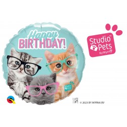 18" Bday Kittens With Eyeglasses