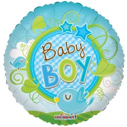 18" SP: Baby Boy Bird Clear View