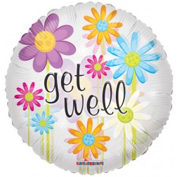 18" SP: Get Well Daisies Clear View