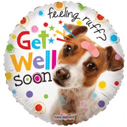 18" SP: SV Get Well Dog