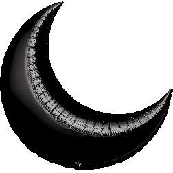 SuperShape Black Crescent 26"