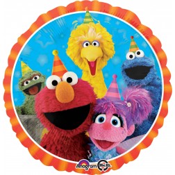 Standard Sesame Street Fun