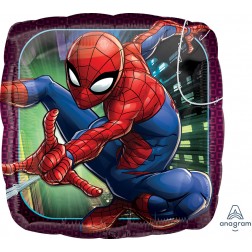 Standard Spider-Man Animated