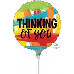 9" Thinking of You Primary Painted