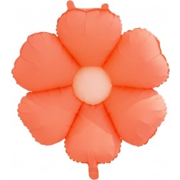 28" Melon Daisy (AIR ONLY)
