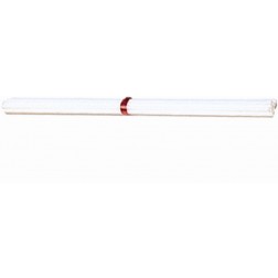 Standard Balloon Sticks: 16" White (100ct)